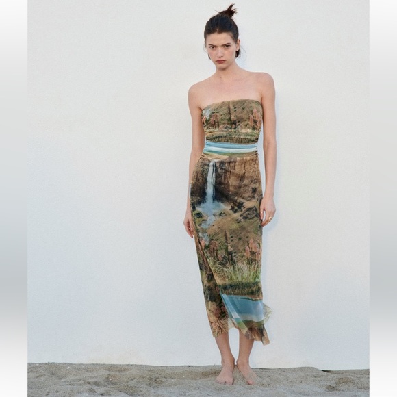 Zara Dresses & Skirts - ZARA PRINTED TULLE DRESS